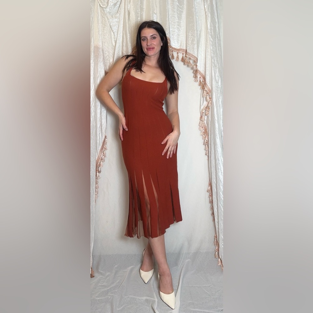 NWT Caroline Constas Size Small Rust Pleated Dress